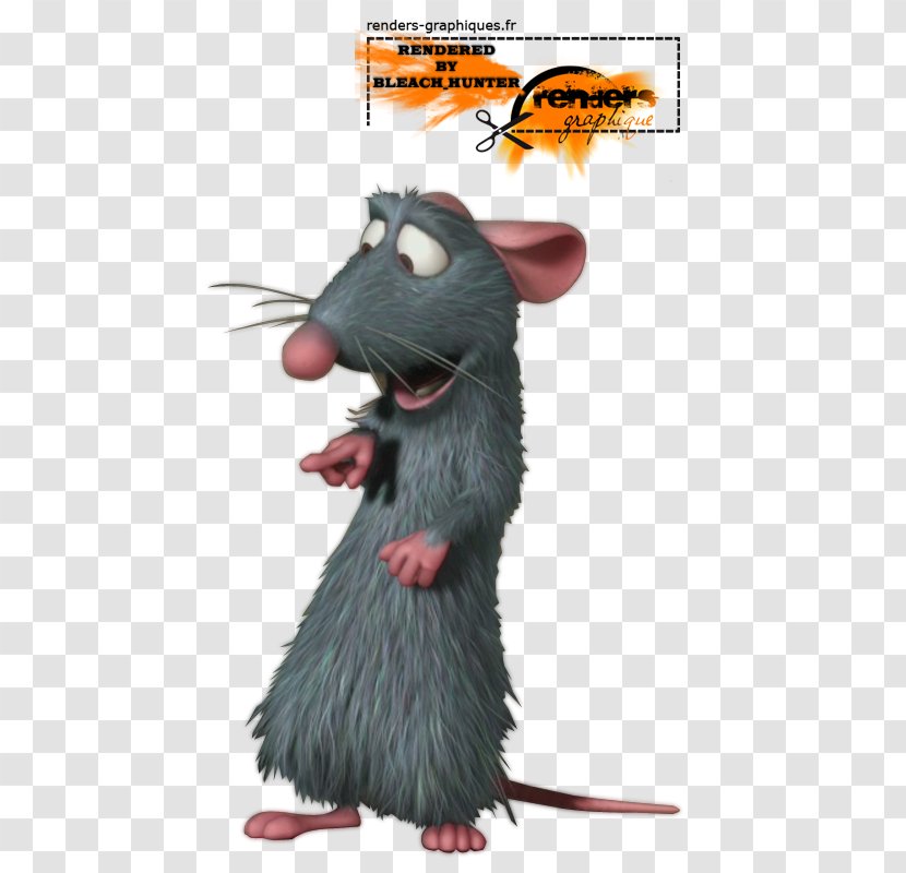 Rat Remy Rodent Murids - Mouse - & Transparent PNG