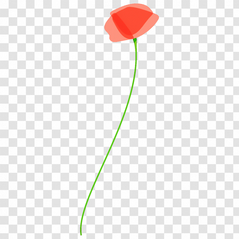 Poppy Flower Transparent PNG