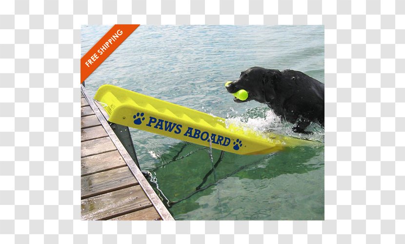 Border Collie Paws Aboard Doggy Boat Ladder And Ramp Dock Pet - Boats Boating Equipment Supplies Transparent PNG