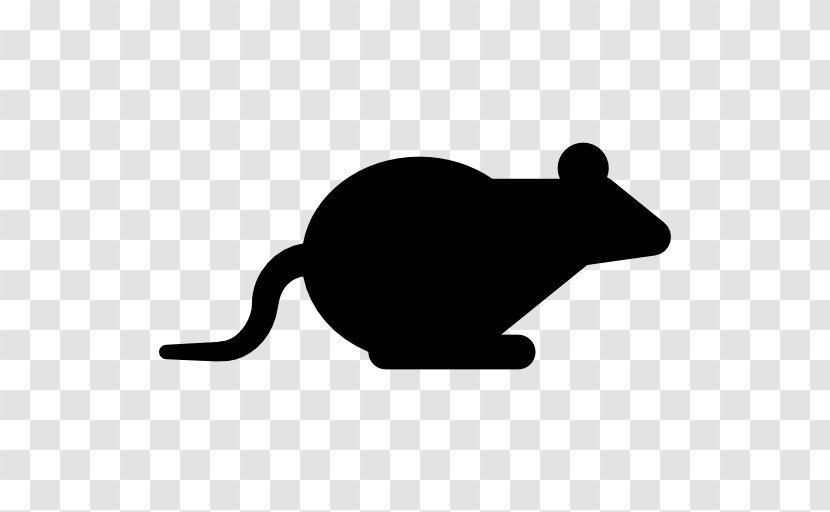 Rodent Cat Computer Mouse Muroidea - Mammal - Animal Transparent PNG