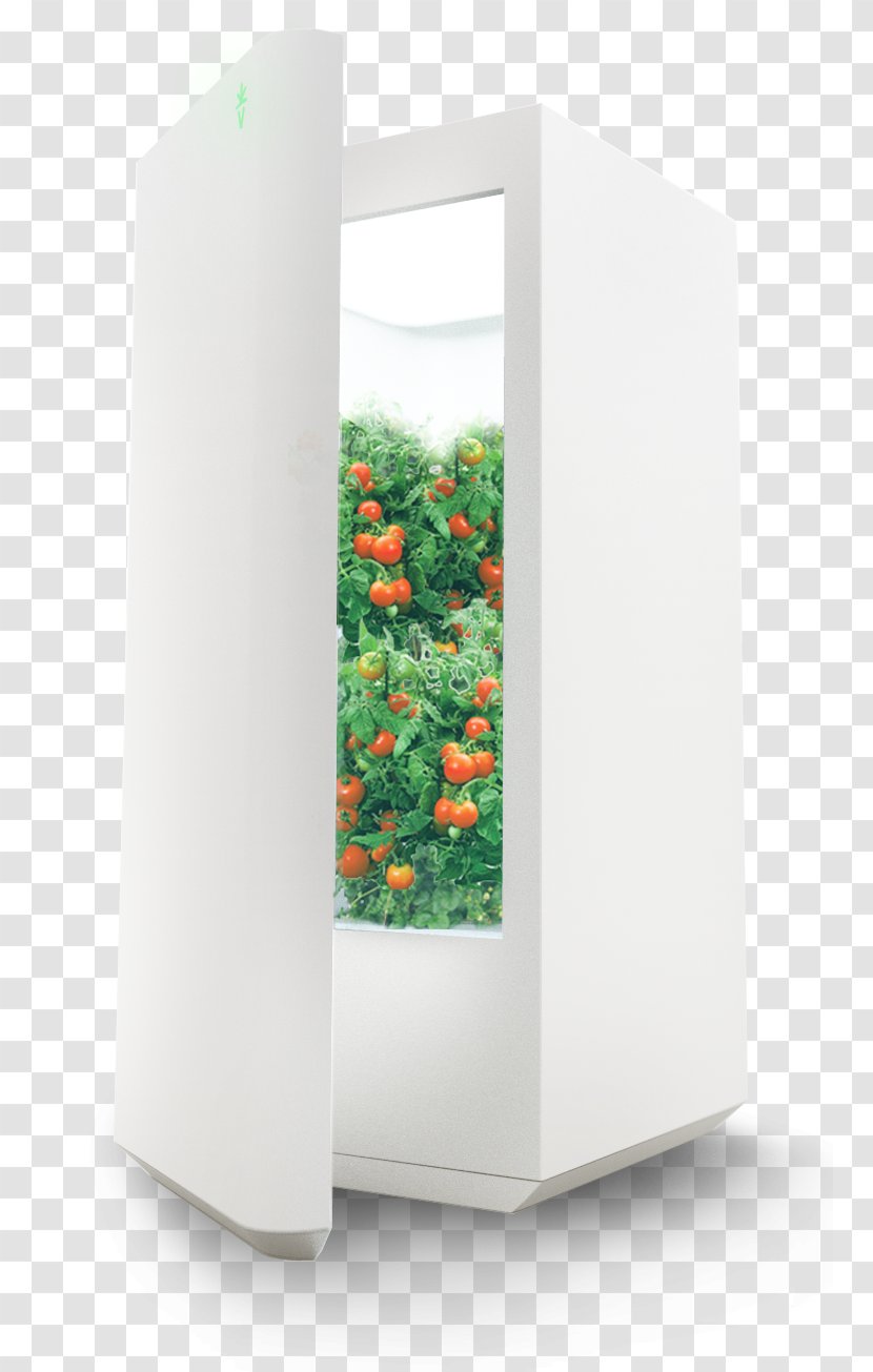 Refrigerator Hydroponics Garden Vegetable Flowerpot - Home Appliance - Plants For Hot Humid Weather Transparent PNG