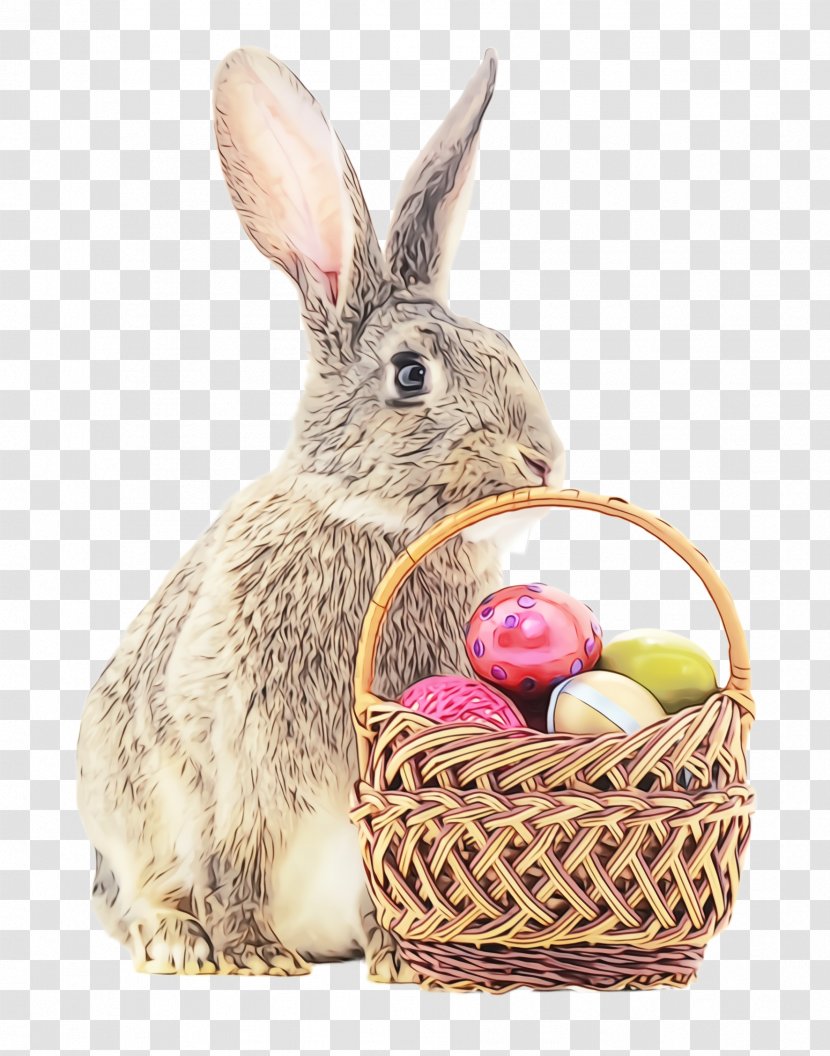 Easter Egg - Wet Ink - Wood Rabbit Wicker Transparent PNG