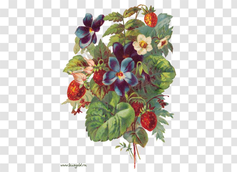 Floral Design Clip Art Fruit Berries Strawberry Transparent PNG