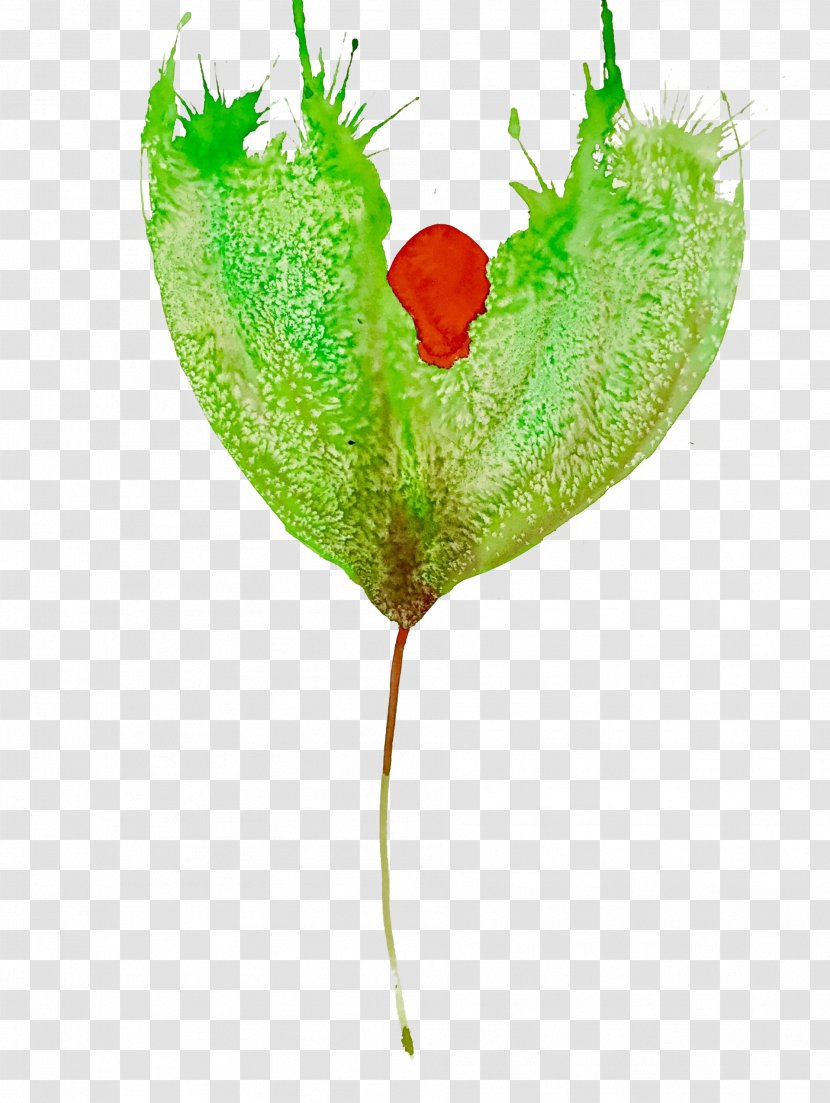 Leaf Plant Stem Petal Heart Transparent PNG