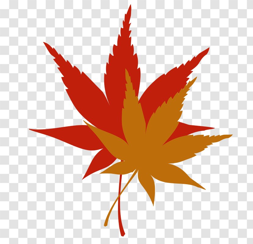 Maple Leaf Autumn Color Clip Art - Flower - Red Leaves Transparent PNG