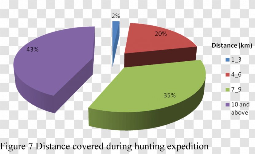 Cross River Gorilla Pie Chart Statistics - Wildlife Conservation Transparent PNG
