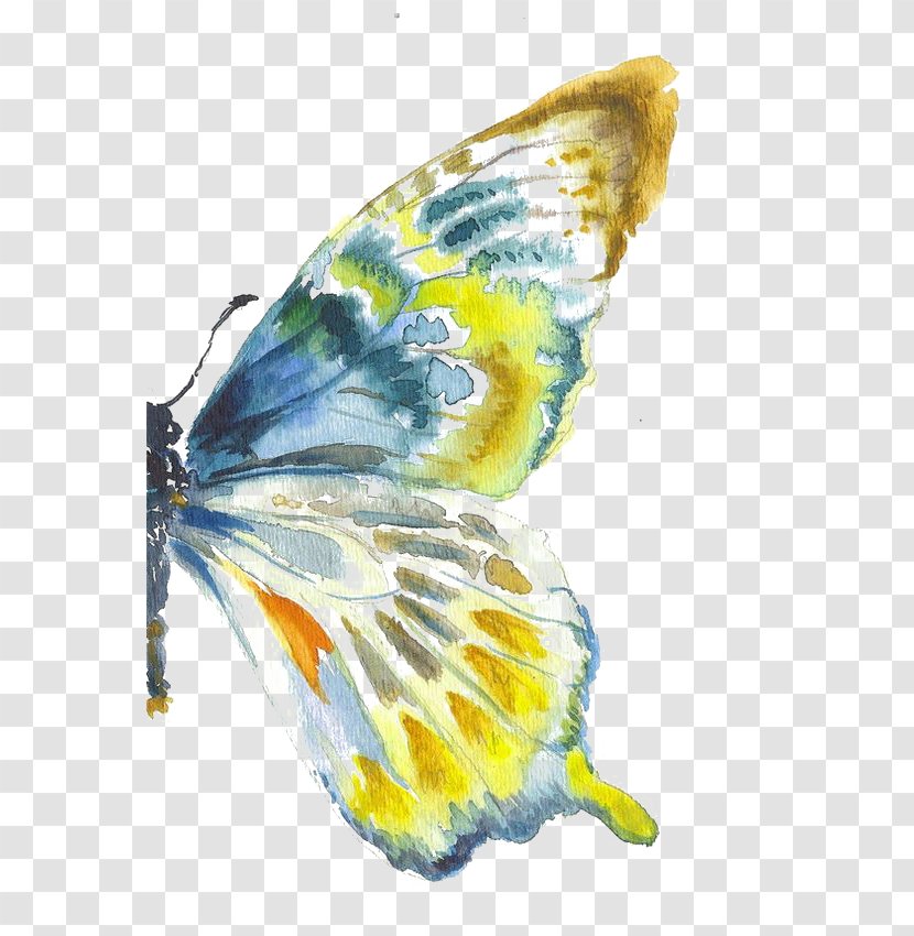 Butterfly Watercolor Painting Drawing Art Transparent PNG