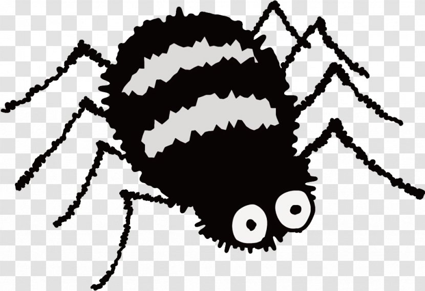 Spider Halloween - Pest Arachnid Transparent PNG