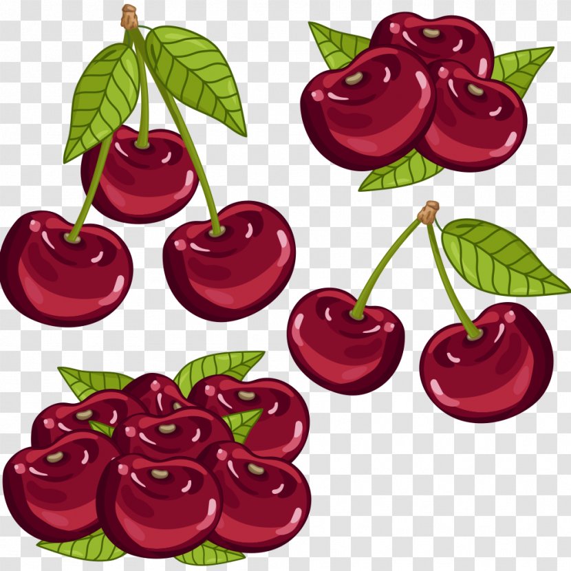 Cherry Auglis Cartoon - Plant - Vector Fruit Transparent PNG