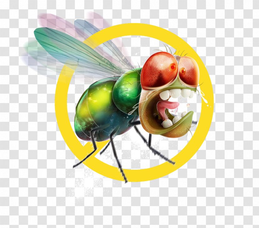Mosquito Hotel Fly Restaurant Pinturas IKELOFF - Pterygota - Mosche Transparent PNG