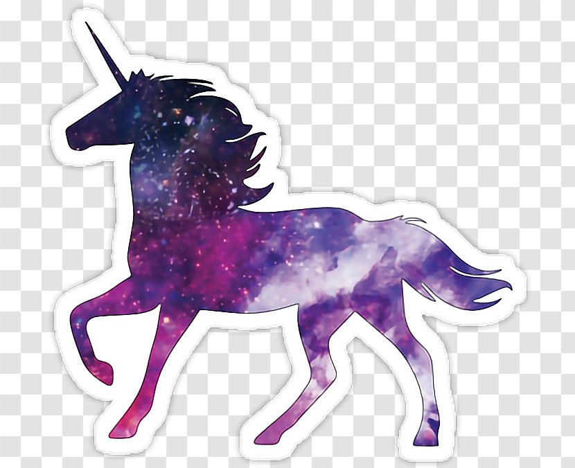 Pony Horse Unicorn JPEG - Winged Transparent PNG