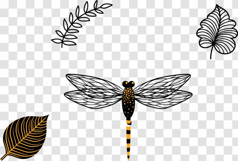 Butterfly Insect Wing Black And White - Invertebrate - Vector Dragonfly Transparent PNG