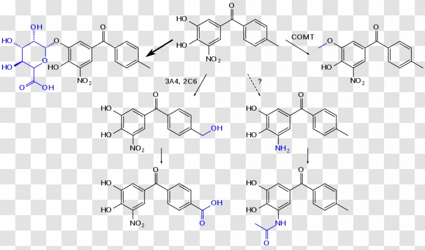 Conjugated System Xanthene Chemistry Electrophilic Aromatic Directing Groups Chemical Compound - Technology - Metabolism Transparent PNG