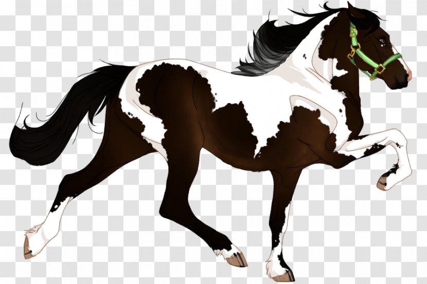 Stallion Mare Mane Mustang Foal - Tovero - Basic Water Paint Ideas Transparent PNG