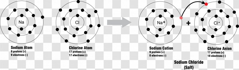 Sales Product Design Organism Goods And Services - Tree - Sodium Atom Transparent PNG