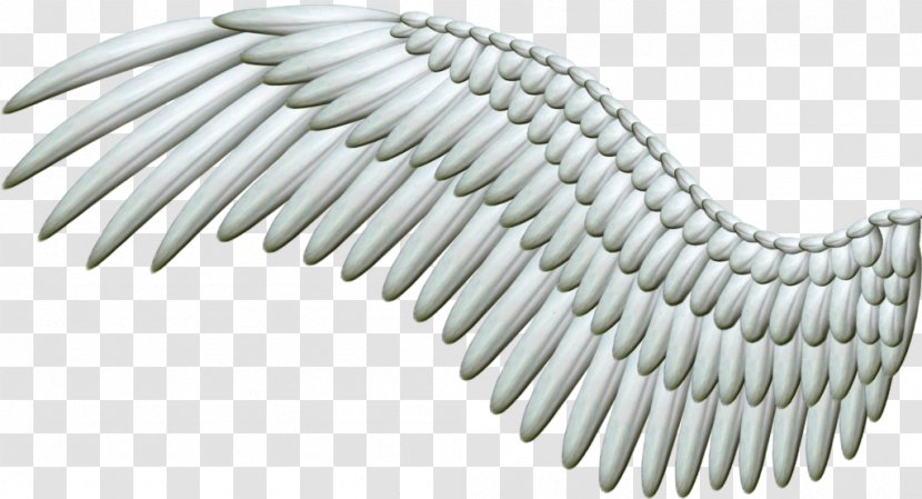 Angel Wing Clip Art - Buffalo - Wings Transparent PNG