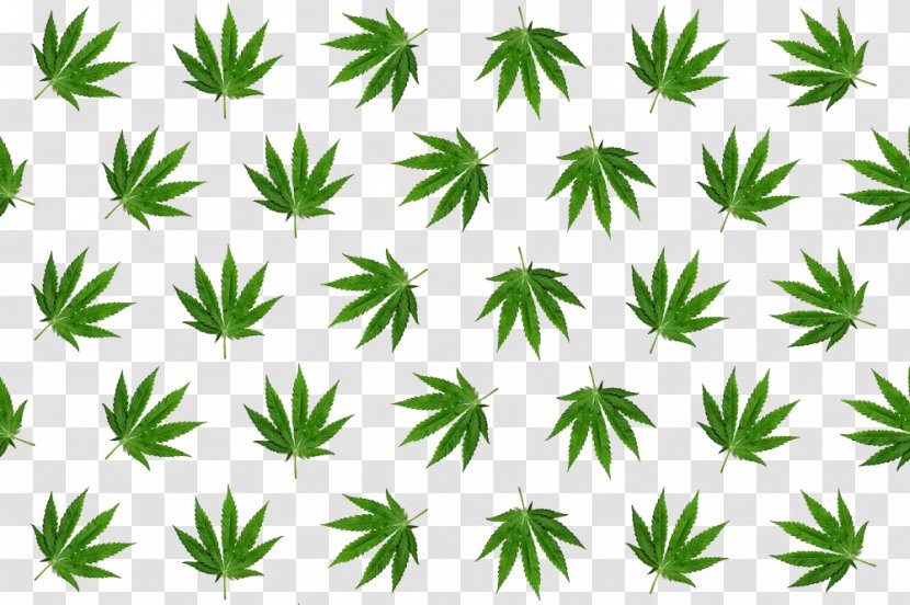 Leaf Hemp Stock Photography Cannabis - Tree - Leaves Tiled Transparent PNG