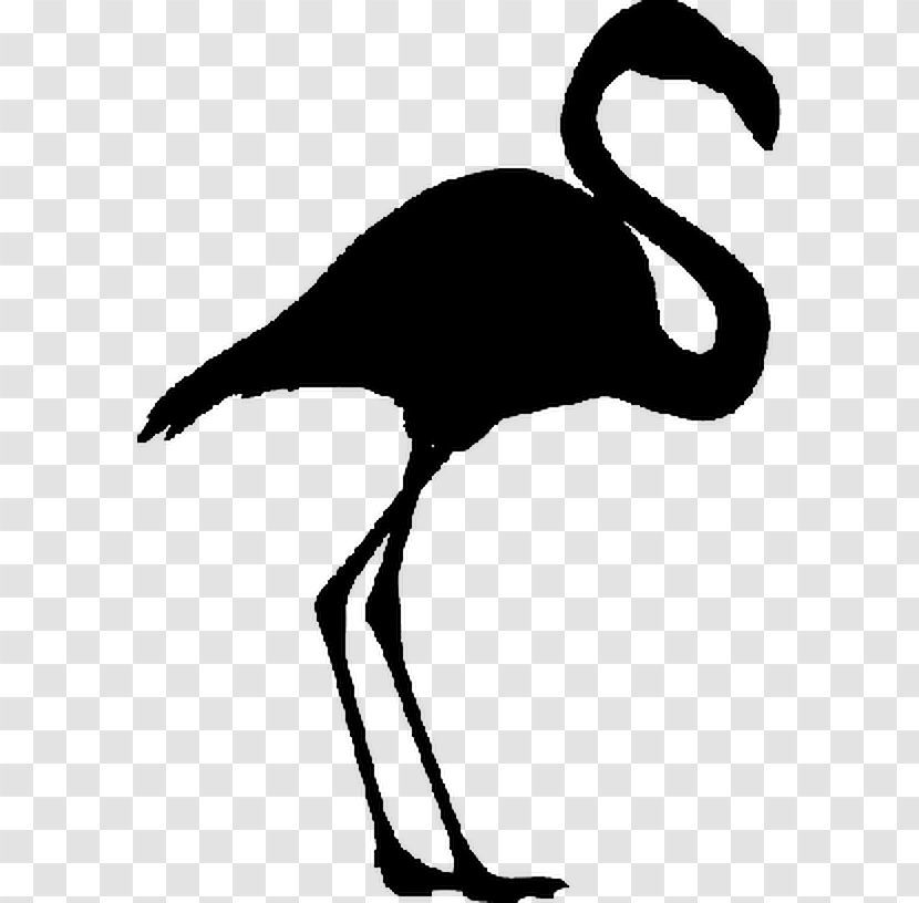 Water Bird Beak Silhouette Goose - Fototapet - Logo Transparent PNG
