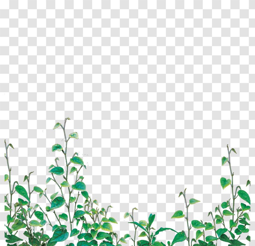 Vine - Poster - Grass Transparent PNG