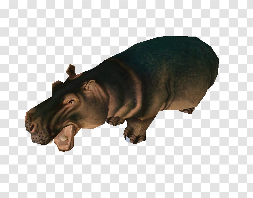 Hippopotamus Snout Wildlife Transparent PNG