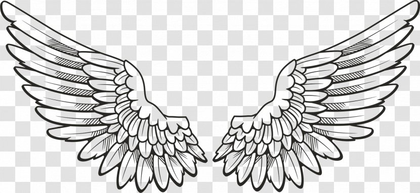 Drawing Angel Clip Art - Shading Transparent PNG