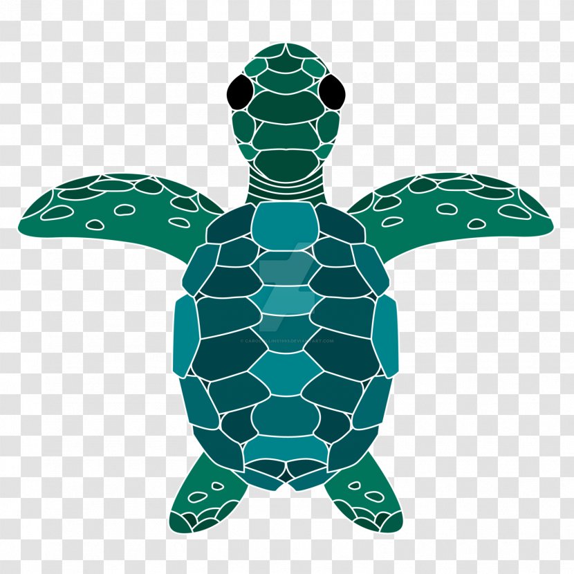 Sea Turtle Tortoise Red Panda Leopard - Lined Transparent PNG
