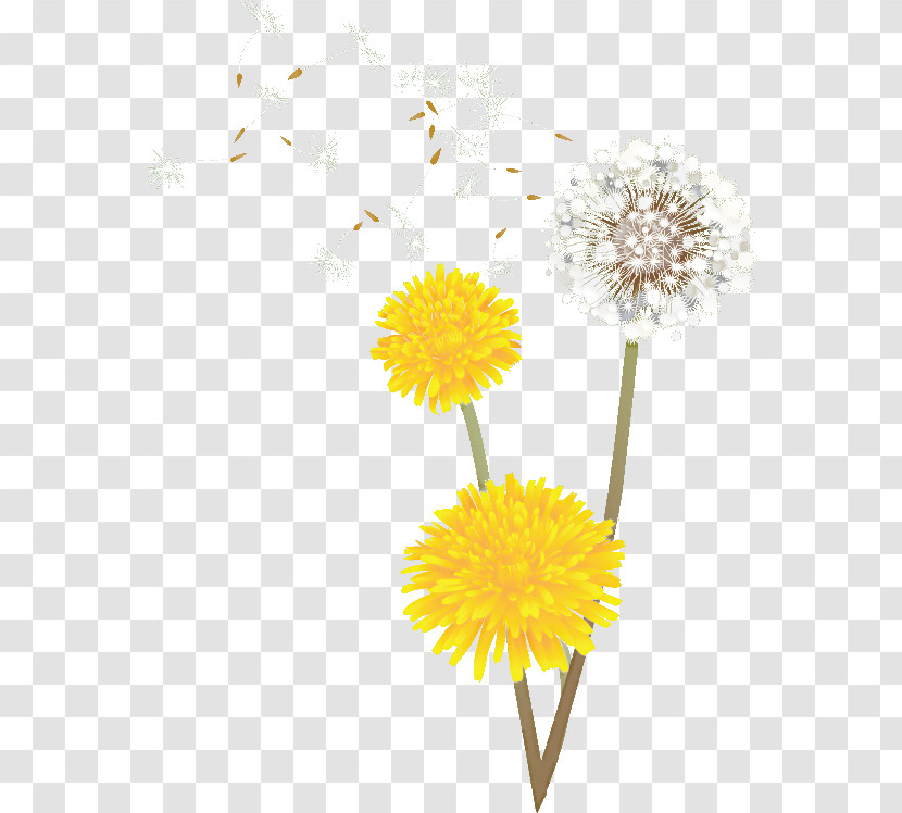 Dandelion Transparent PNG