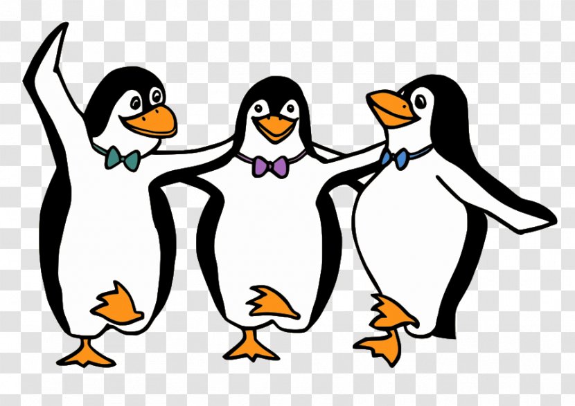 Penguin - Gentoo - Beak Transparent PNG