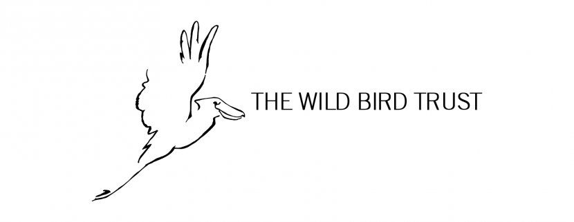 Finger Logo White Line Art Font - Cartoon - Bird Vector. Transparent PNG