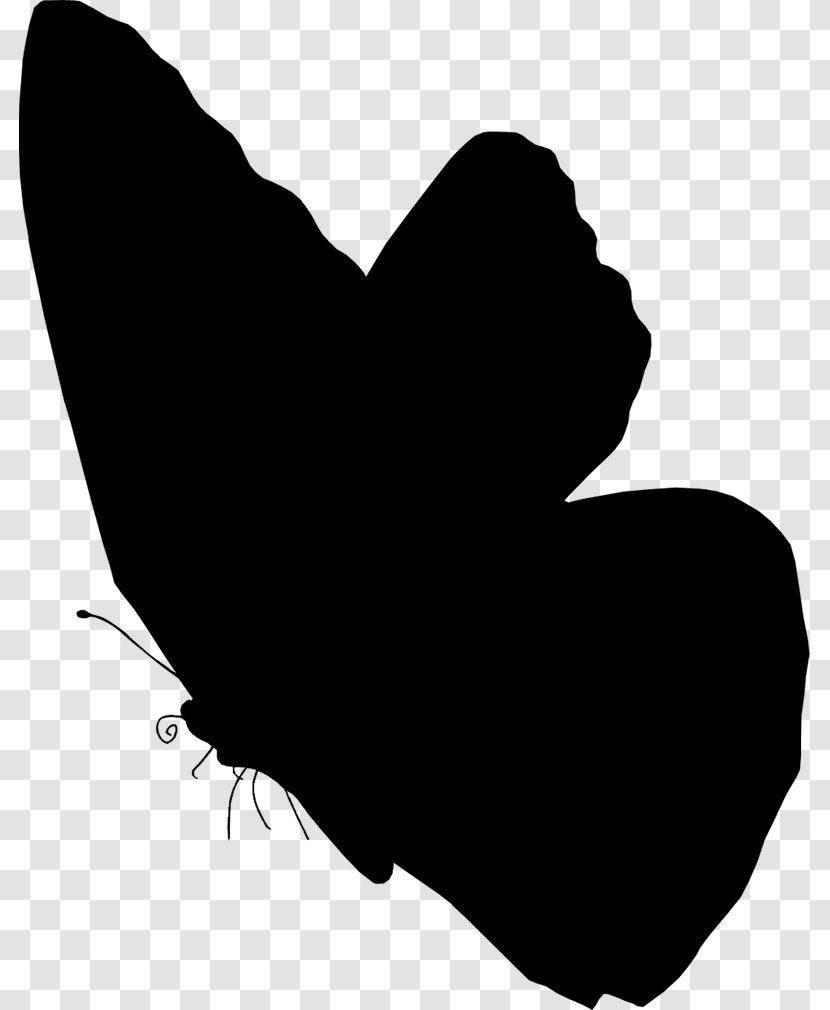 Ministry Of Health, Labour And Welfare Health Care Prices In The United States Physician Social Security - Black - Moths Butterflies Transparent PNG
