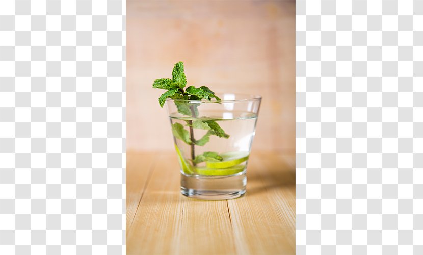 Mojito Mint Julep Cocktail Garnish Gin And Tonic Transparent PNG