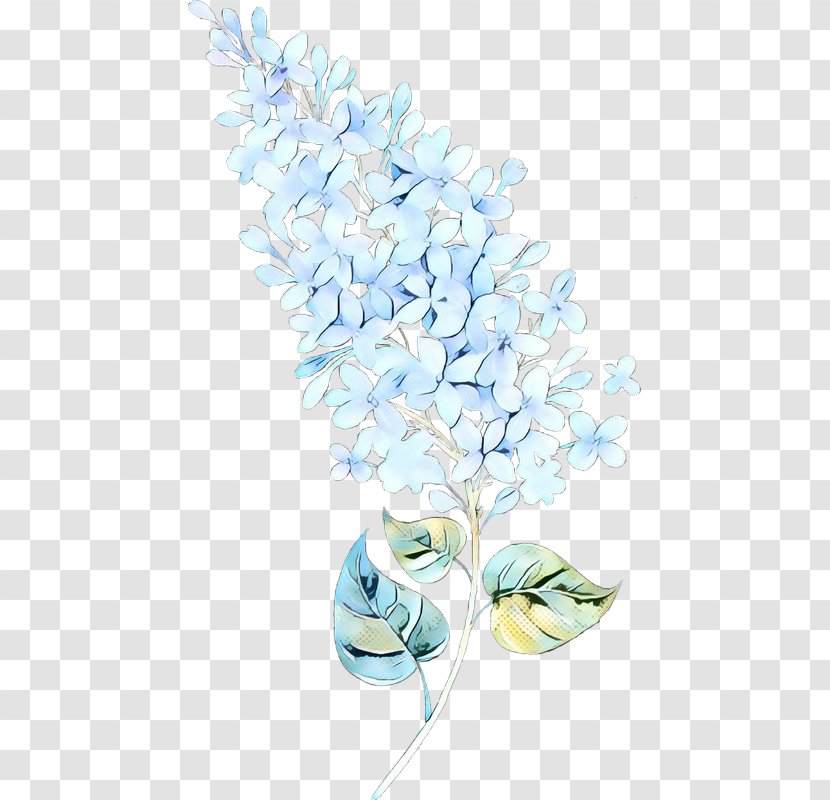 Flowers Background - Petal - Cornales Hydrangea Transparent PNG