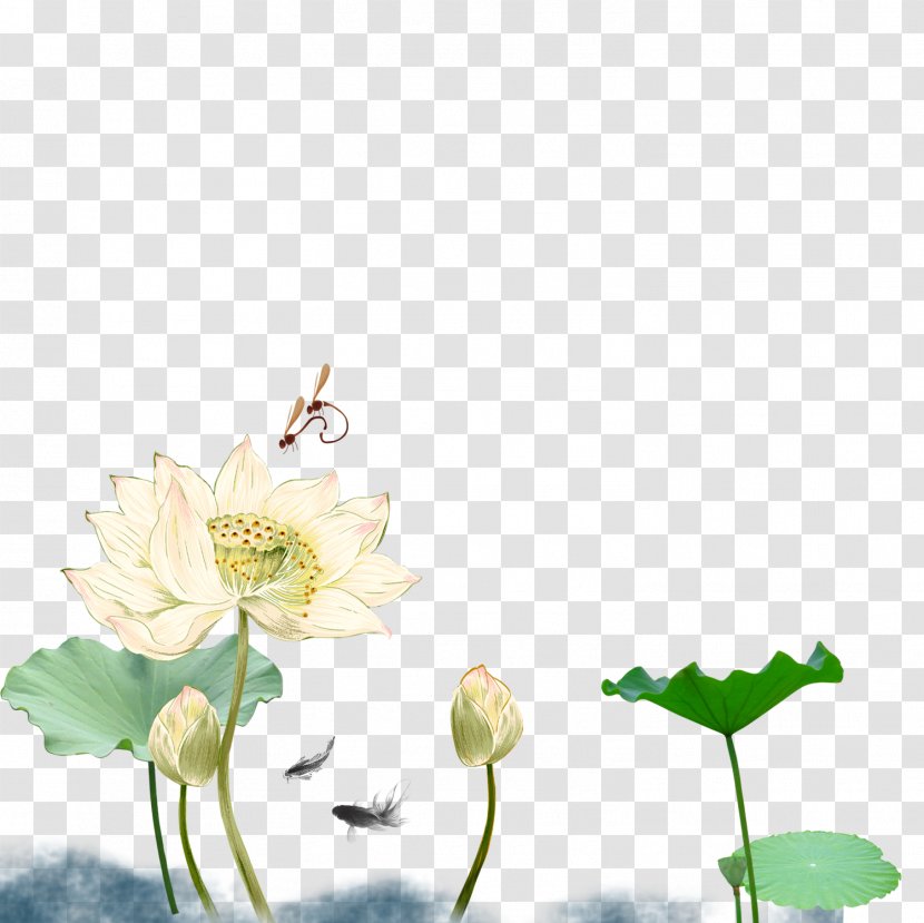 Nelumbo Nucifera Ink Wash Painting Chinese - Floral Design - Hand-painted Lotus Transparent PNG