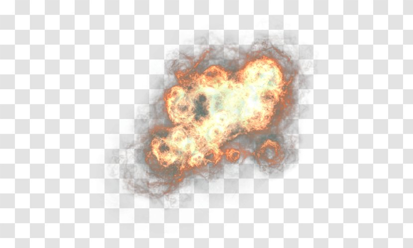 Light Fire Clip Art - Flower Transparent PNG