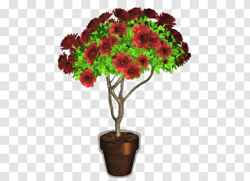 Flowerpot Plant Chrysanthemum - Flowering Transparent PNG
