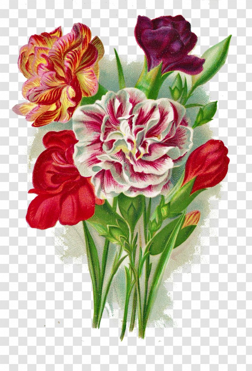 Paper Botanical Illustration Printing Antique - Flower Bouquet Transparent PNG
