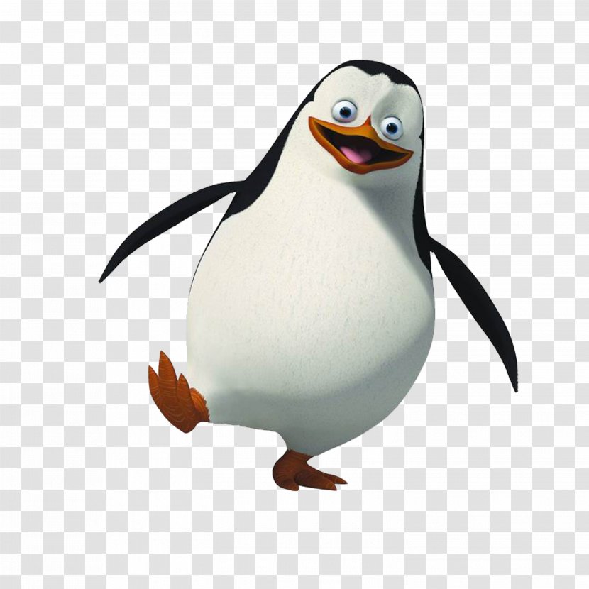 Skipper Rico Penguin Madagascar Clip Art - Youtube Transparent PNG