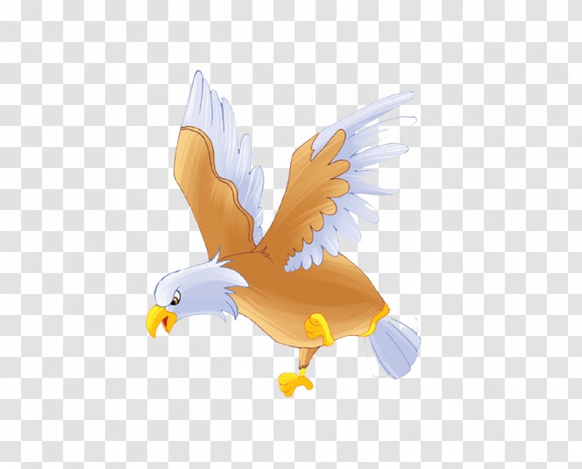 Bald Eagle Bird Hawk - Vertebrate Transparent PNG