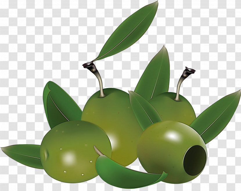 Green Olive Fruit Leaf Plant Transparent PNG