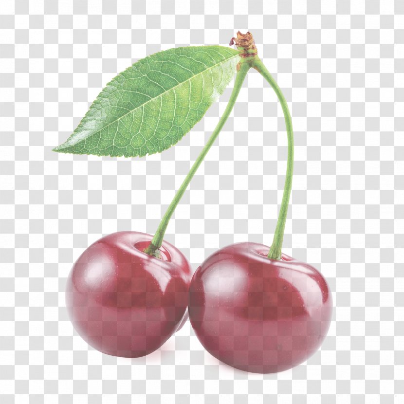 Cherry Plant Fruit Leaf Food - Tree - Flower Woody Transparent PNG