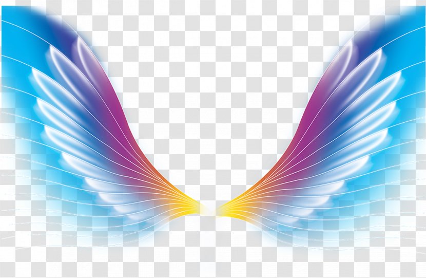 Color Wing - Dream Wings Transparent PNG