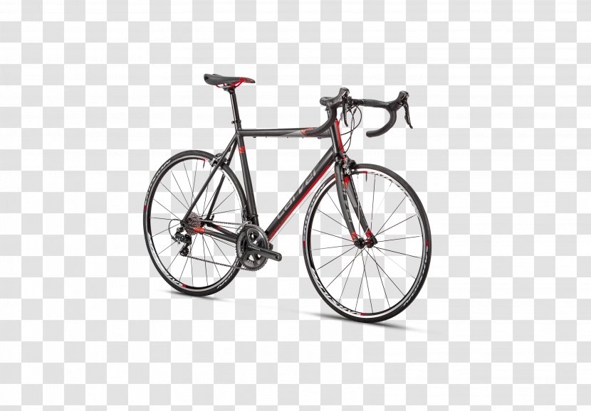 Giant Bicycles Specialized Bicycle Components Racing Cycling Transparent PNG