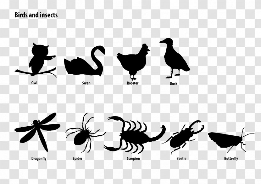 Rooster Chicken Silhouette Bird Cartoon - Water - Birds And Insects Transparent PNG