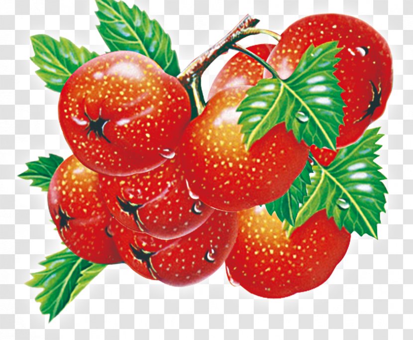 Strawberry Accessory Fruit Food Vegetable - Cherry Transparent PNG
