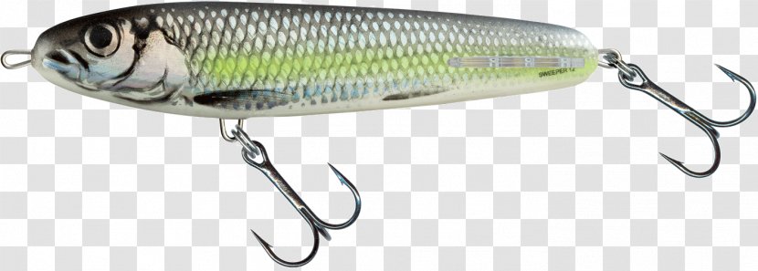 Northern Pike Plug Fishing Baits & Lures Bass Worms Angling - Bait Transparent PNG