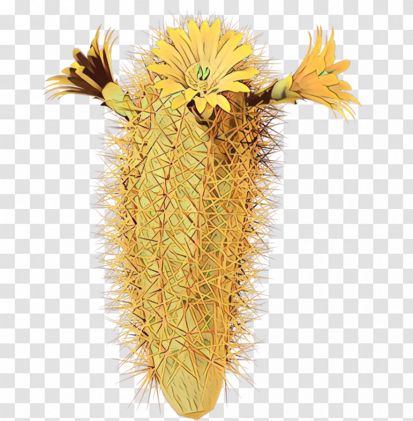 Cactus Cartoon - Hedgehog Yellow Transparent PNG
