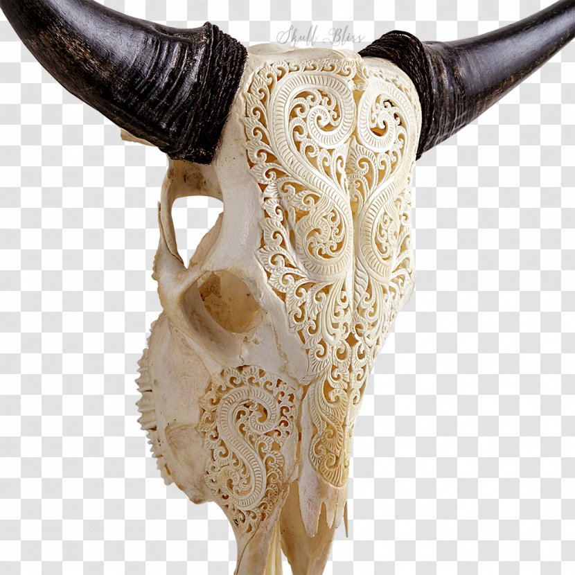 XL Horns Cattle Skull Art - Cart Transparent PNG
