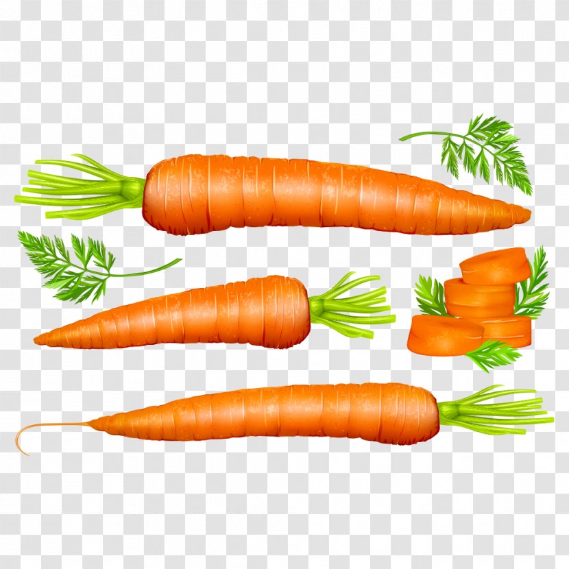 Carrot Vegetable Euclidean Vector - Vienna Sausage Transparent PNG