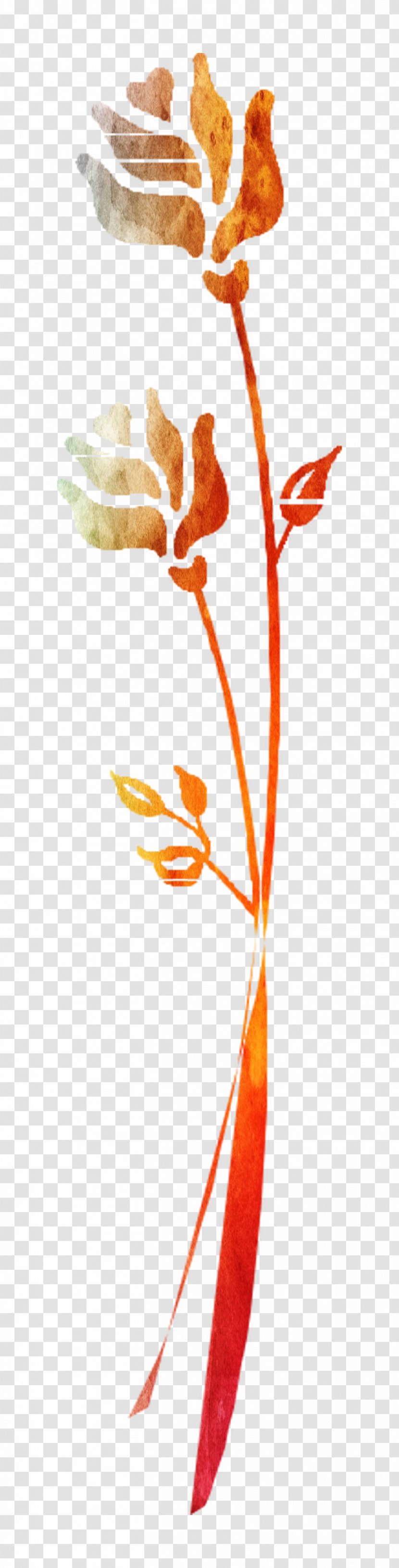 Plant Stem Leaf Twig Clip Art Flowering - Orange Transparent PNG
