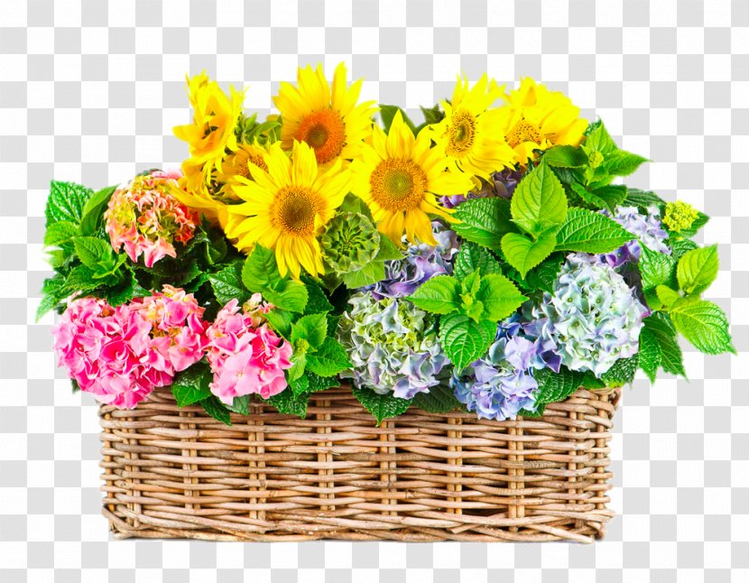 Flower Gratitude Floristry Stock Photography Royalty-free - Flowering Plant - Gerbera Basket Transparent PNG